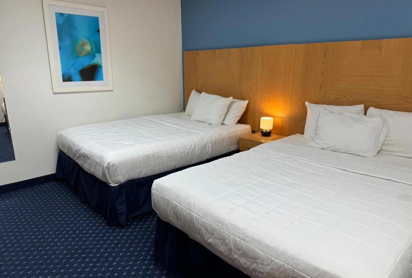 Ficus Hotel San Juan