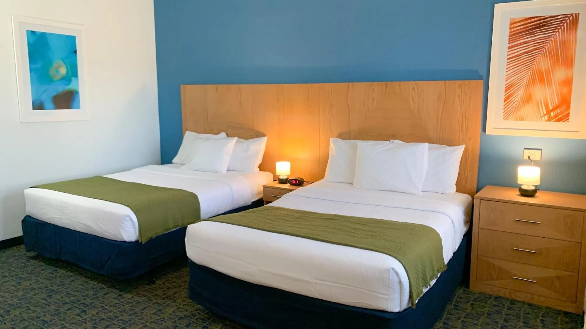 Ficus Hotel San Juan